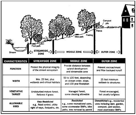 Specifications The Chesapeake Bay Program s Riparian Handbook provides an in-depth discussion of establishing the proper riparian forest buffer width, taking into consideration: 1.