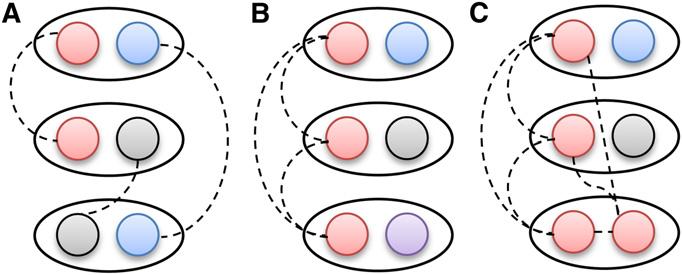 Figure 8 Patterns of IBD sharing between three individuals. Individuals are shown as ovals, while their haplotypes are shown as circles.