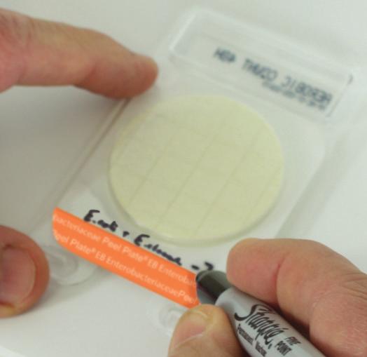 7 Peel Plate EB Test Procedure Step 1 Label plate on clear side using marker or bar