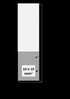 The exposed surface equal to 1*1 cm 2 controlled by mounting with fast curing epoxy (Araldite Rapid, Huntsman Advanced Materials (Switzerland) GmbH.) as shown in Fig. 2.1. USA).
