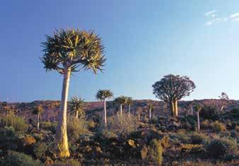 NORTHERN CAPE 16 Environment and Nature Conservation