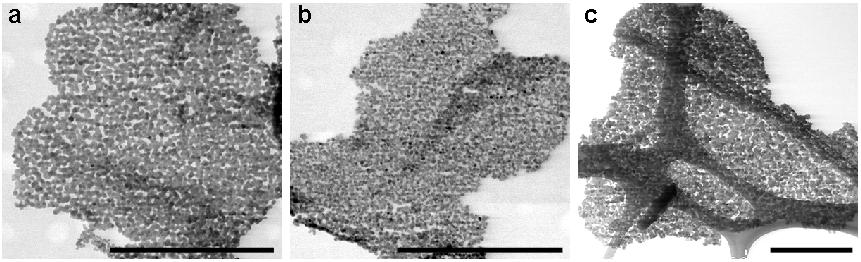 Supplementary Figure 11 Scanning electron microscopic images of 2D holey simple TMO nanosheets.