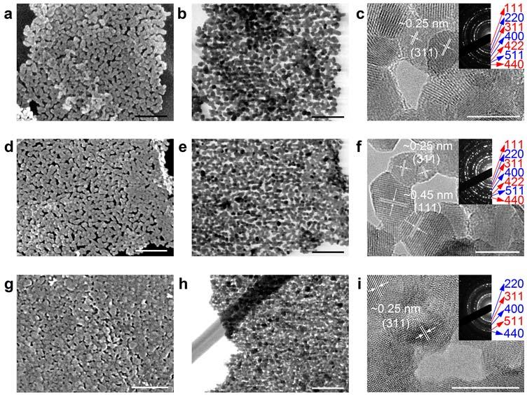 Supplementary Figure 9 Electron microscopic images of versatile 2D holey MTMO nanosheets.