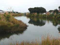 Our water New Zealand river condition trends SUMMARY OF 10-YEAR TREND ANALYSIS 80 53% 80% 60 40 26% RATE 40% 9% 11% D REACTIVE HOROUS 21% 21% 6% 21% 53% 74% 80% 74% 20 14% 26% 0 AQUATIC INSECTS (MCI)