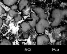 another and is generally higher than the stoichiometric ratio of 2. The white grains (marked as 2) are wustite solid solution and small dark (black) grains (marked as 3 in the micrograph) are 2CaO.