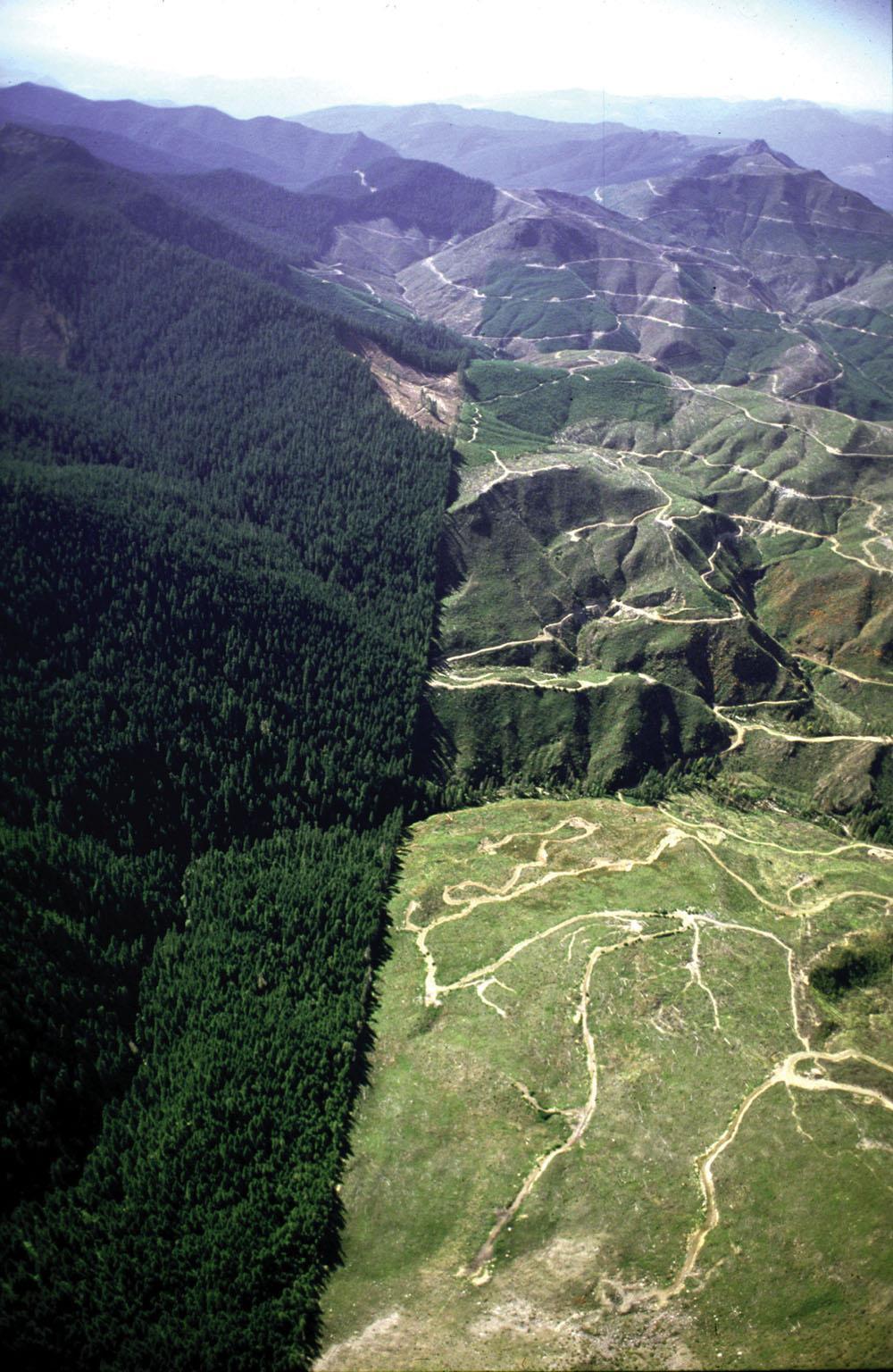 Aerial view showing