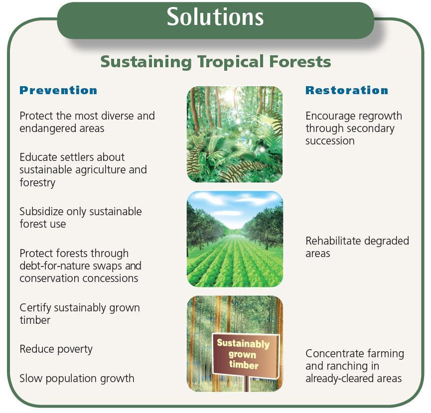 Ways to protect tropical