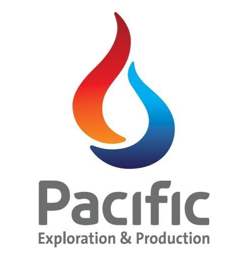 Form 51-101 F1 Pacific Exploration & Production Corporation Statement