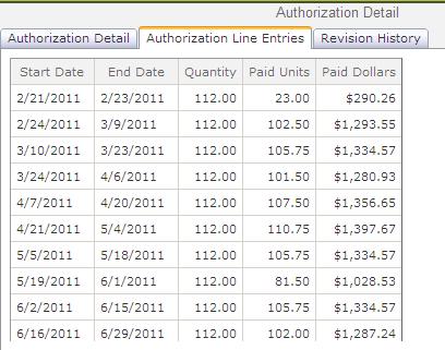 Authorization Detail section allows you to view the amount paid against your budget from submitted PAID timesheets.