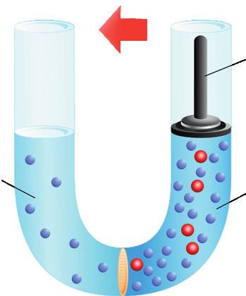THE TECHNOLOGY Two Approaches to Desalination Distillation Processes Modest and Robust For centuries it has been known that salt can be removed from water by boiling, condensing the generated steam