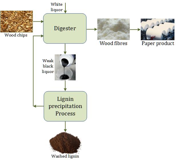 Background Lignin is the most abundant byproduct from paper making processes.