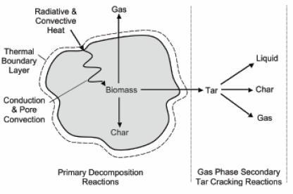 Principal of Pyrolysis Pyrolysis is a thermal decomposition by heat in the absence of oxygen Dry Biomass char + (CO, CO 2, H 2, H 2 O (g), CH 4 ) + tars + Ash During pyrolysis biomass undergoes a