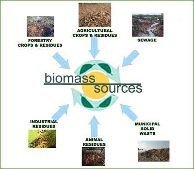 Biomass as a
