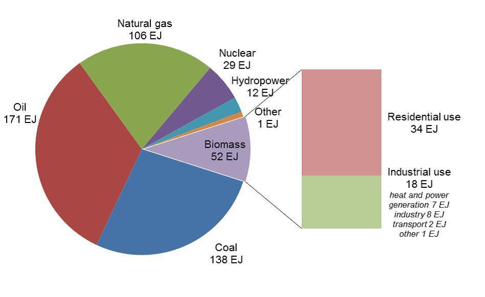 Bioenergy Biomass provides more than 10 % of