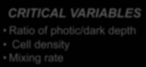 VARIABLES Ratio of photic/dark