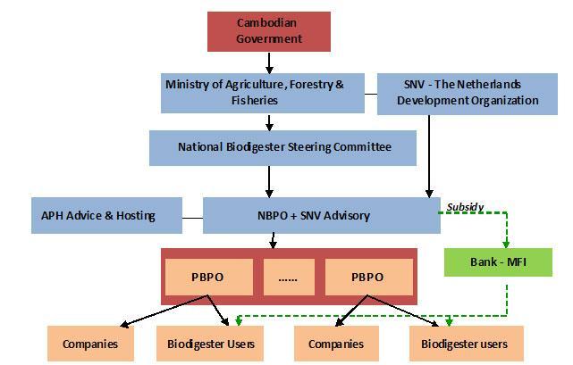 Structure of NBP in Cambodia
