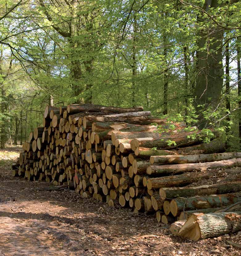 Responsible Purchasing Policy Rixonway Kitchens is committed to the eradication of illegal timber in European markets.