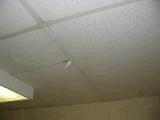 01.5-070C08 Rubber Floor Element Instance: *01.5-070C08 Rubber Floor - Original Building - Gym 01.5-080 Ceiling Finishes 01.5-080C02 Suspended Acoustic Panel Ceiling Element Instance: *01.