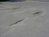 Potholes and alligator cracks were observed on the asphalt paved parking area. Resurfacing is recommended. Potholes & cracks on the asphalt paved parking area. 00.