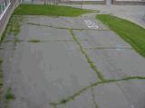 Asphalt paved playground. Asphalt paved playground. 00.2-014 Paved Walkways Element Instance: *00.