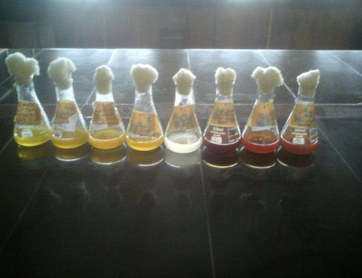 coli in eight different media (M1 to M8) separately containing 100ml medium into 250ml conical flask for 72 hours at 37 o C (Figure 2).