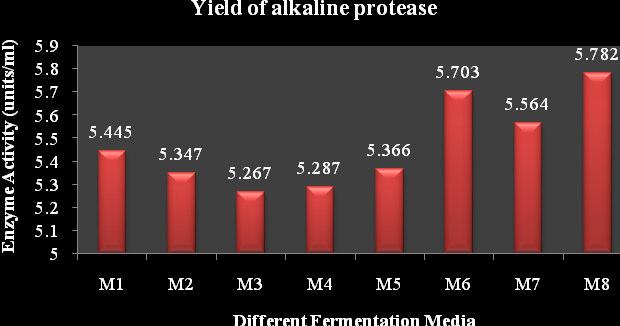 coli for production of alkaline protease.