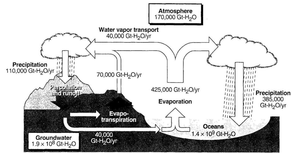 Hydrological cycle Groundwater includes water in lakes, soil and