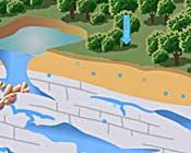 Percola:on Water percolates (soaks into) the ground and is stored as groundwater Groundwater and