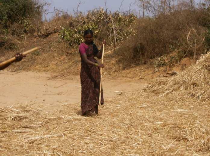 Women have become victims of ecological degradation Erosion of