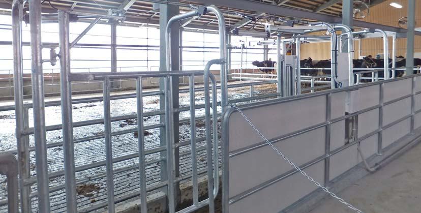 SELECTON GATE SAVE TIME AND MONEY: MANAGE EACH ANIMAL INDIVIDUALLY saving you the time dedicated to rounding them up in the barn.