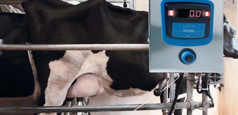 RENOVATE THE MILKING PARLOUR TO GET BACK TO ACHIEVING MAXIMUM EFFICIENCY FOR MILKING AND OPTIMIZE FARM PRODUCTION, QUICKLY AND WITH A REDUCED INVESTMENT NOW THAT SOLUTION IS POSSIBLE.