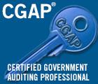 International Chapter Program CGAP & CFSA Update