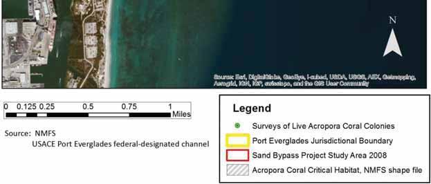 Acropora Coral Colony Survey Data Olsen