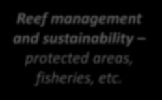 Reef management and sustainability protected