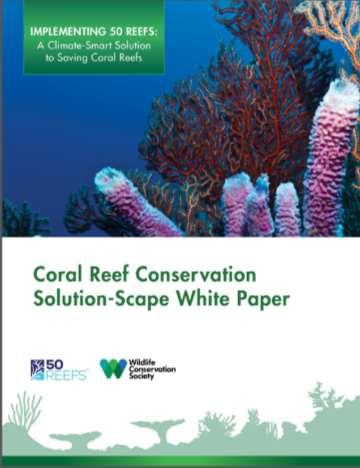 Coral Reef Life Declaration UN Ocean Conference 2017 http://www.