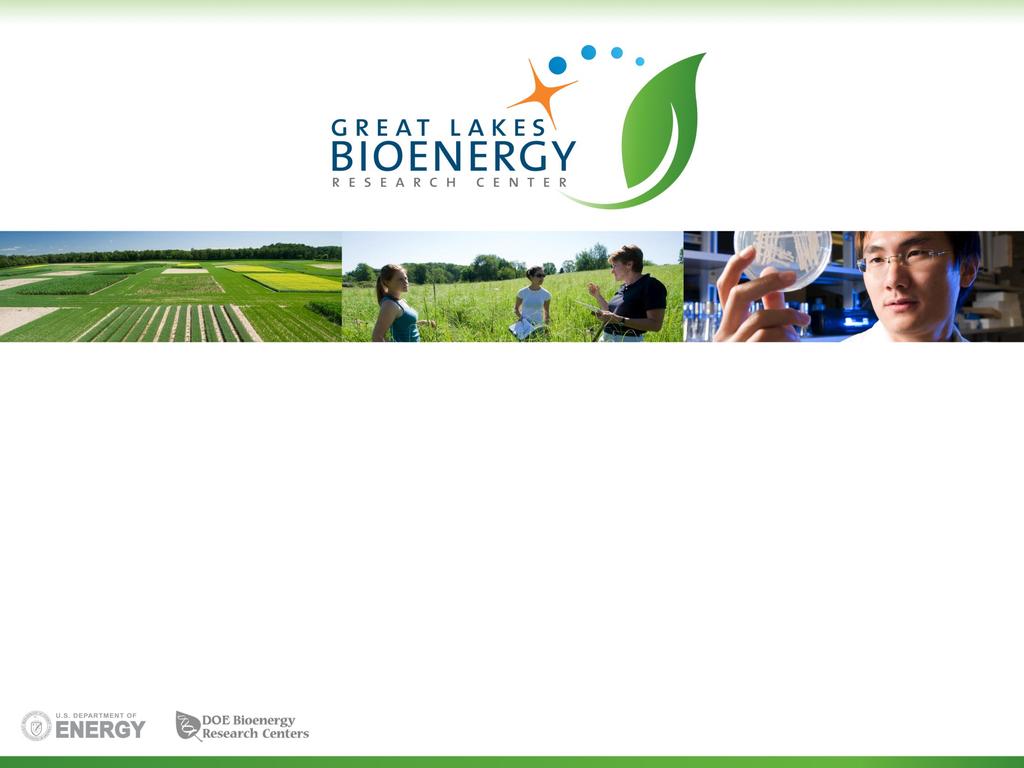 Biogasdoneright A Sustainable System for Large Scale Bioenergy Production Bruce E.