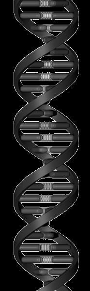 5 Unique DNA enabling further expansion Balzers DNA sequences Balzers key success factors Innovation Established pioneer with ability to industrialize own and adapted innovations and technologies