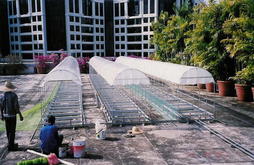 Singapore Processing organic food waste as soil conditioner for roof top vegetable planting in