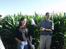 High Yield Corn Response to Placement Sponsor: PPI-FAR 2001-2003 Hybrids: 1.