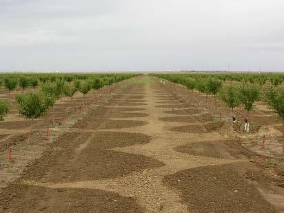 (pre-irrigation of row crops) Alternatively, make a wholesale change in methods Often there