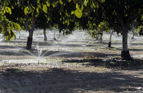 irrigation system design to gain