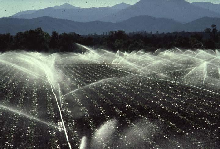 Pressurized Irrigation: Sprinkler