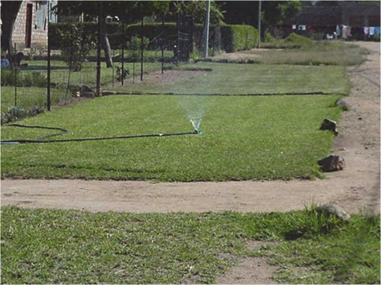 Figure 168: Garden watering in peri-urban area with low payment levels In the above pictured area, the average monthly water use increased from the expected 10m 3 /month on average to more than 60m 3