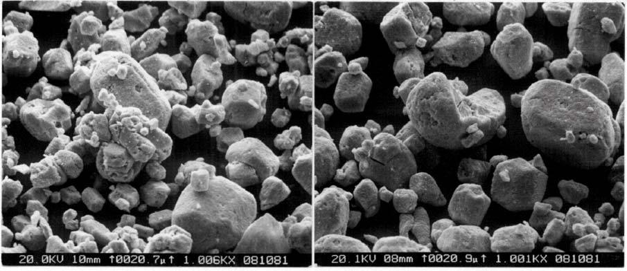 AUC powder characteristics Free flowing mean particle size 20 µm BET 5,0-6,0 m2/g 90%