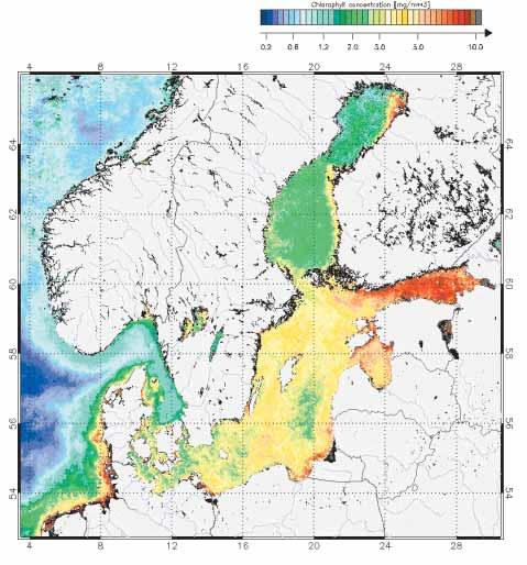 Maija Huttunen / FIMR Monitoring the toxic threat Mass occurrences of blue-green algae are often made up of several species of blue-green algae.