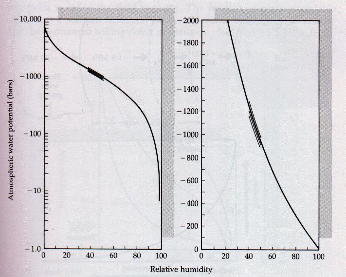 Water Potential vs. Relative Humidity Salisbury, FB and C. Ross. 1969.