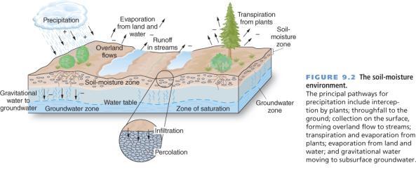A Hydrologic Cycle Model Precipitation Evaporation/ Transpiration Condensation Throughfall Interception Stemflow 10 Surface Water and Soil-Moisture Environment Infiltration Percolation Runoff