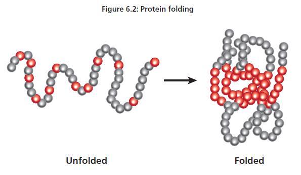 Protein Properties Column chromatography separates the