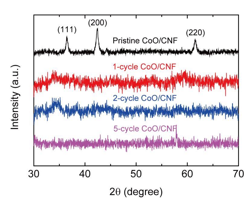 Supplementary Figure 4. XRD spectra of pristine, 1-cycle, 2-cycle, and 5-cycle CoO/CNF.