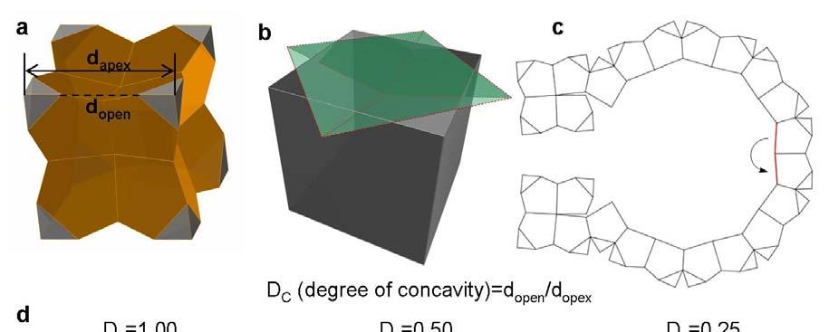 Figure S7. The detailed structural models for the concave nanocrystals with smaller degree of concavity: (a) an ideal 3D geometrical model of the Pt nanocrystal with less concavity.